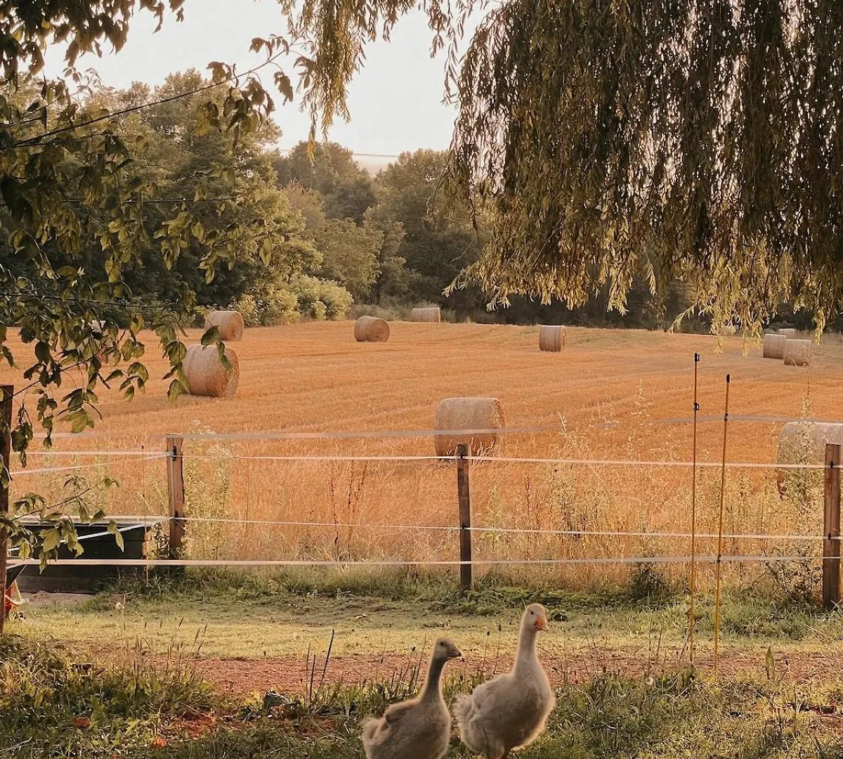Charmante Maison En Pierres, Sejour A La Ferme Saint-Georges-d'Esperanche Holiday home